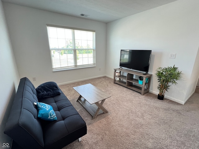 living room featuring a textured ceiling and carpet floors