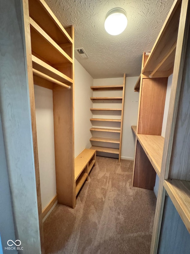 walk in closet with carpet floors