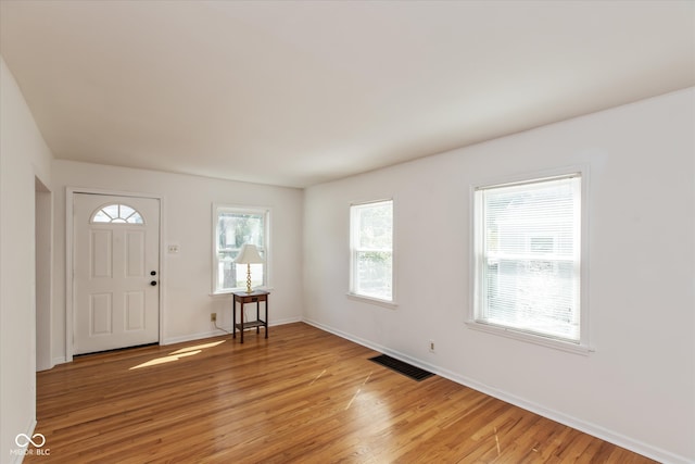 foyer featuring plenty of natural light and wood-type flooring