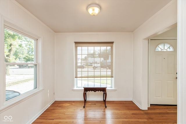 foyer entrance featuring ornamental molding, a wealth of natural light, and light hardwood / wood-style floors