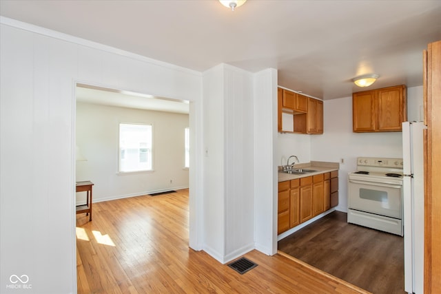 kitchen featuring light wood-type flooring, white appliances, and sink