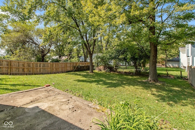 view of yard featuring a patio