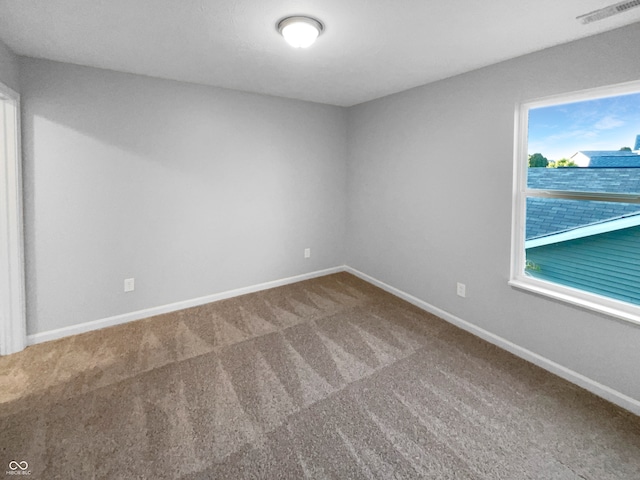 empty room featuring a wealth of natural light and carpet flooring