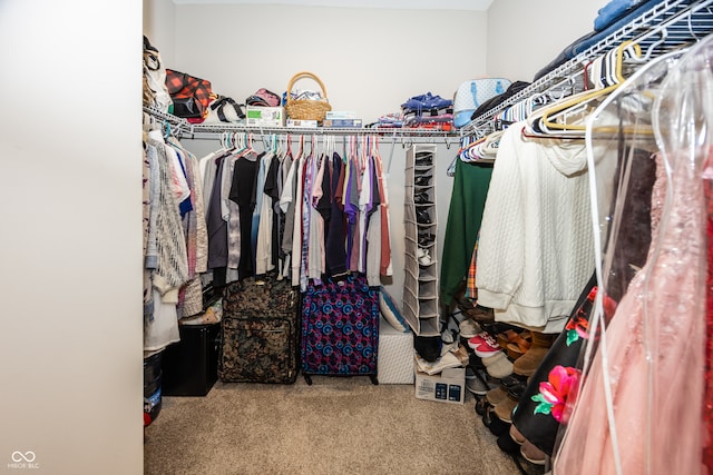 1569 Tupelo Dr, Greenfield, IN 46140 - spacious closet with carpet floors