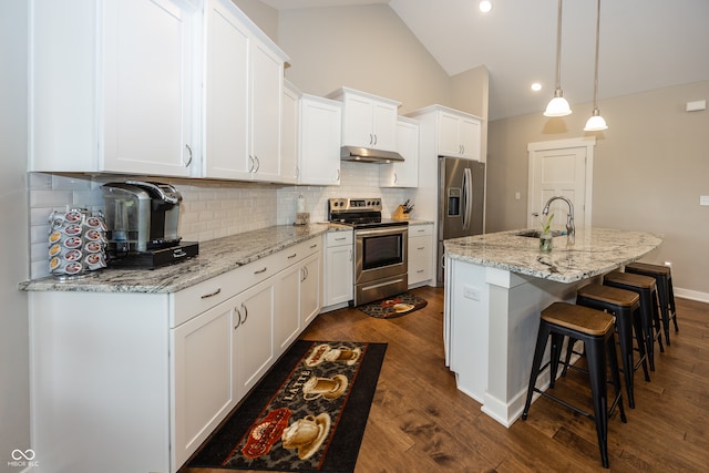 1569 Tupelo Dr, Greenfield, IN 46140 - kitchen with stainless steel appliances, a sink, under cabinet range hood, lofted ceiling, and dark wood-type flooring