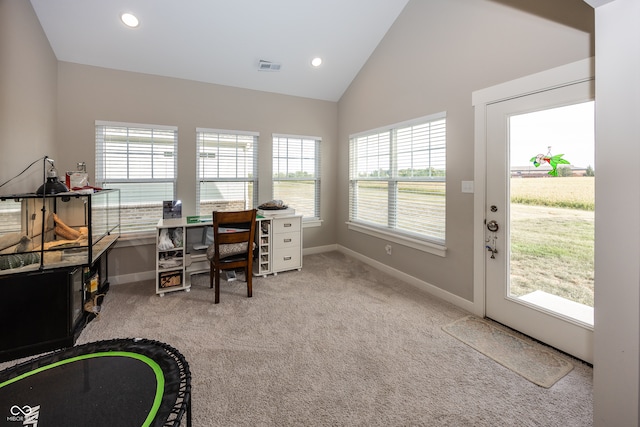 office with vaulted ceiling and light carpet