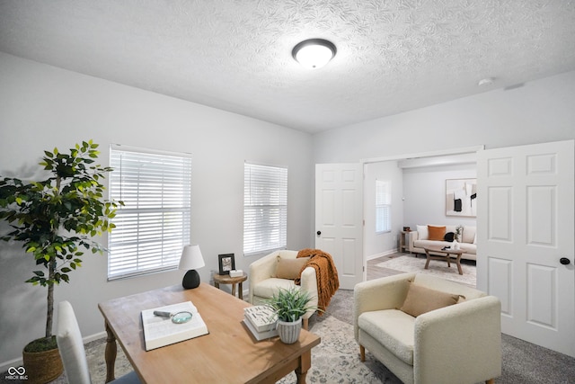 living room featuring carpet flooring and a textured ceiling