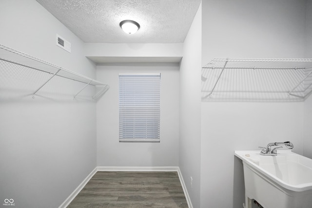 walk in closet with sink and wood-type flooring