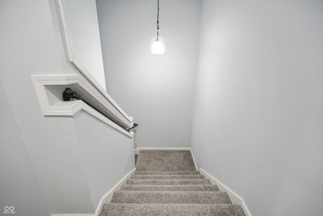 stairs featuring carpet flooring