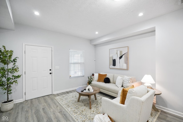 living room with a textured ceiling and hardwood / wood-style floors