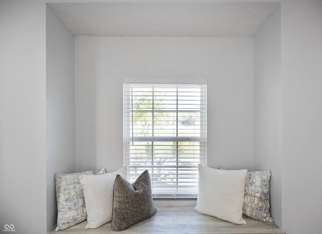 living area featuring hardwood / wood-style floors and a textured ceiling