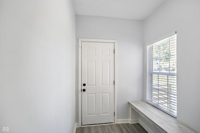 mudroom featuring dark hardwood / wood-style floors