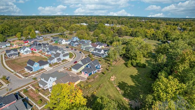 bird's eye view