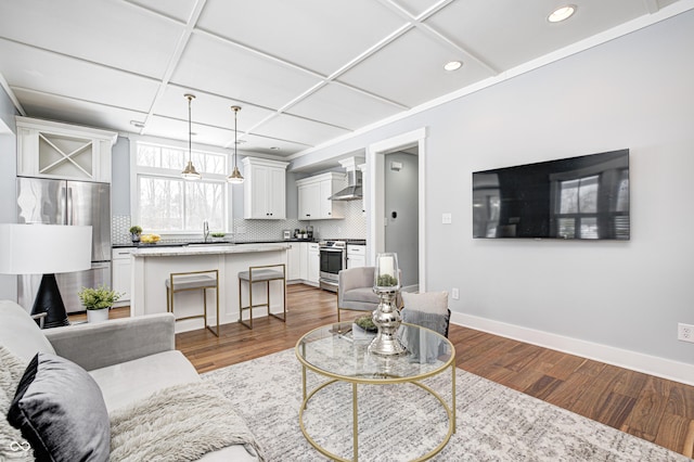 living room featuring dark hardwood / wood-style flooring and sink