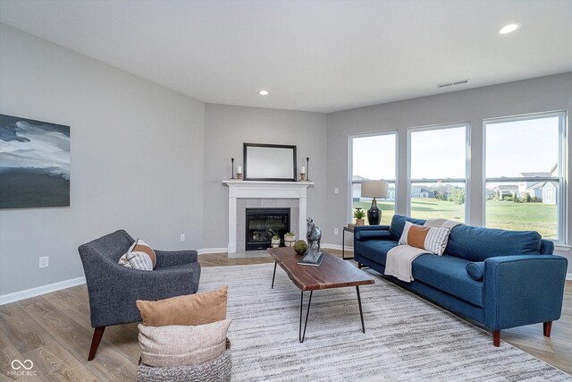 living room featuring light wood-type flooring and a fireplace