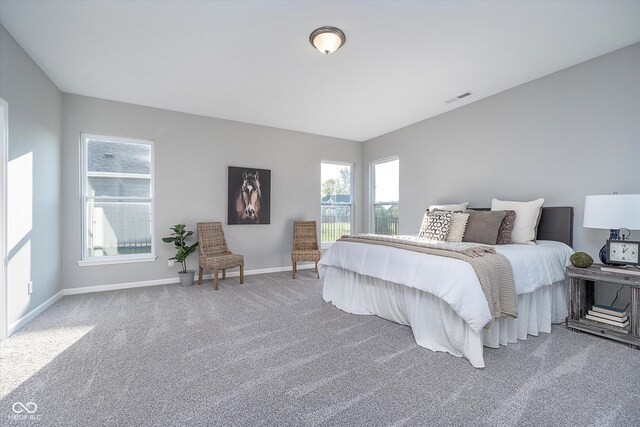 bedroom with carpet flooring