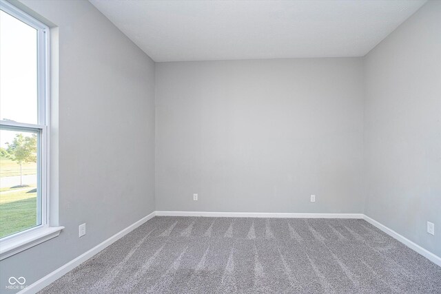 carpeted spare room featuring a healthy amount of sunlight