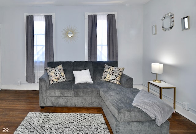 living room featuring hardwood / wood-style floors and a wealth of natural light