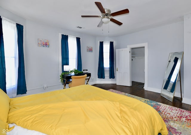 bedroom with ceiling fan, a walk in closet, multiple windows, and dark hardwood / wood-style flooring