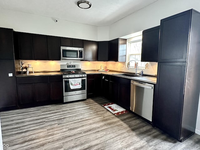 kitchen featuring sink, light wood-type flooring, and appliances with stainless steel finishes