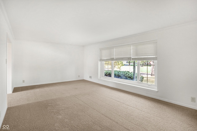 carpeted spare room with ornamental molding