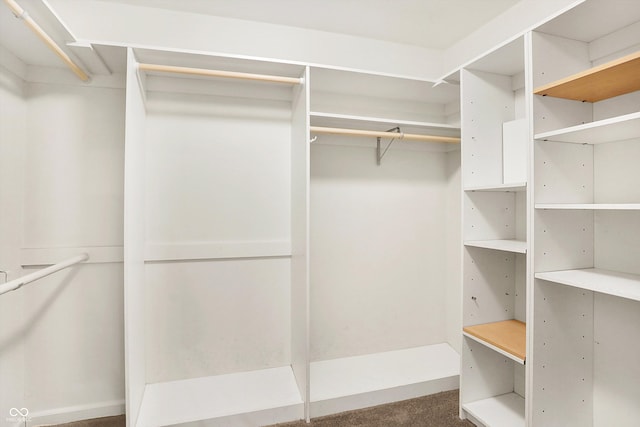 spacious closet with dark colored carpet