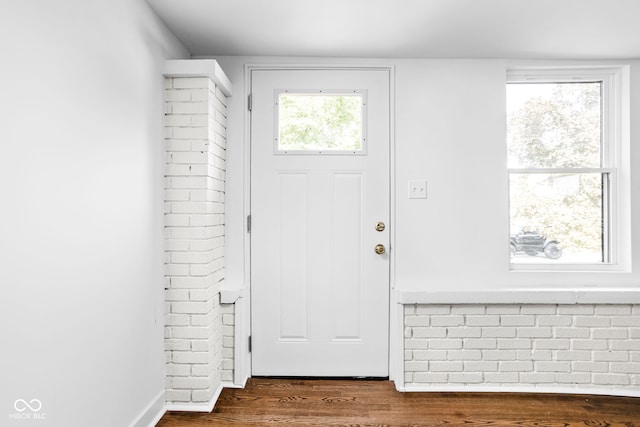 foyer featuring dark hardwood / wood-style floors and a healthy amount of sunlight