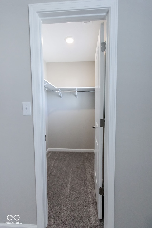 walk in closet with dark carpet