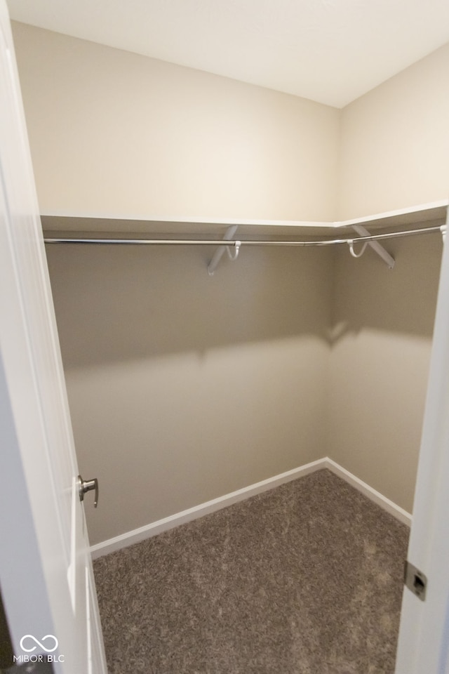 walk in closet with carpet