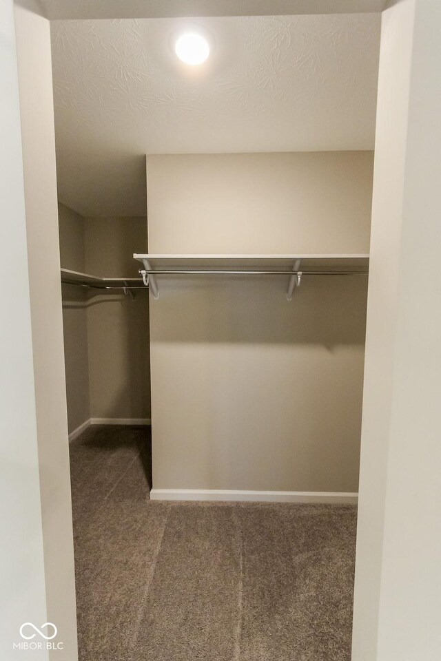 spacious closet with dark carpet