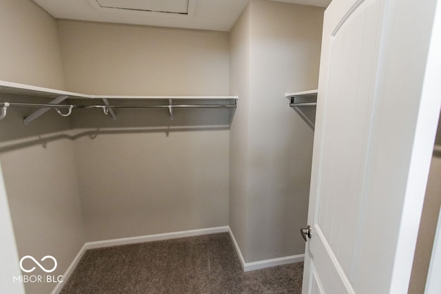 spacious closet featuring dark colored carpet