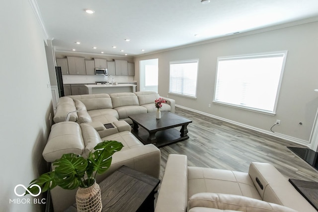 living room featuring light hardwood / wood-style floors and ornamental molding