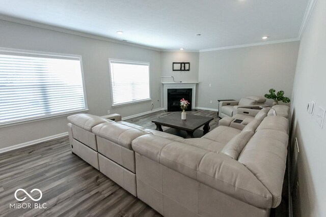 living room featuring crown molding and wood-type flooring