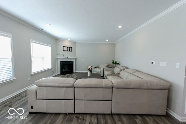 living room with crown molding and dark hardwood / wood-style flooring