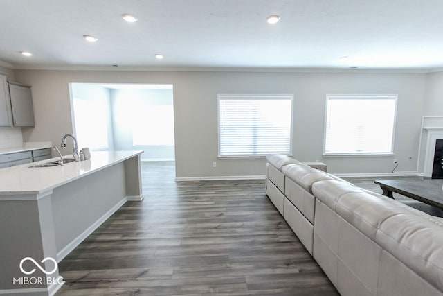 living room featuring ornamental molding, dark hardwood / wood-style flooring, a wealth of natural light, and sink