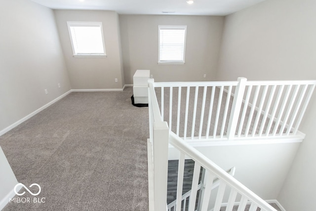 stairway with carpet flooring