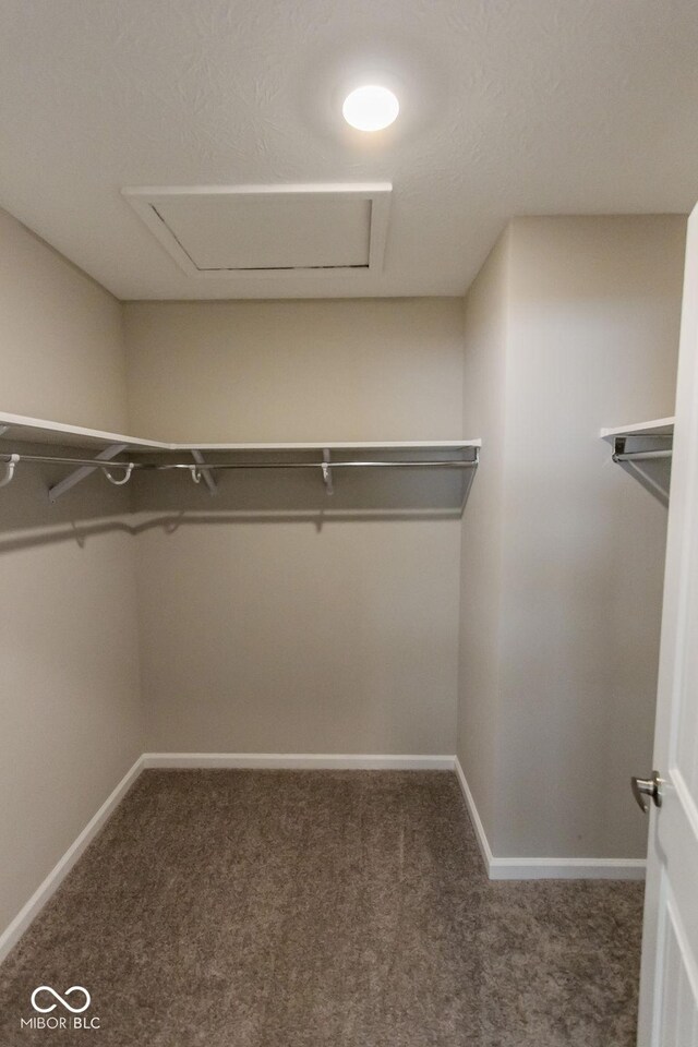 spacious closet featuring dark colored carpet