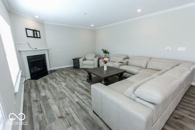 living room with crown molding and light hardwood / wood-style flooring