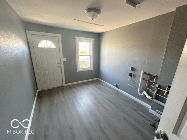 entryway with hardwood / wood-style floors