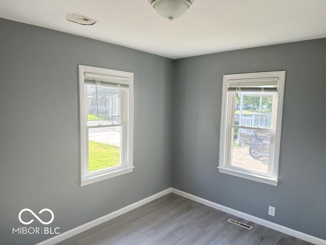 spare room featuring wood-type flooring