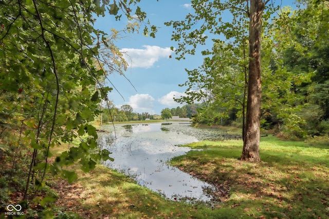 view of water feature