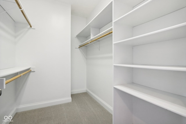 walk in closet featuring light carpet