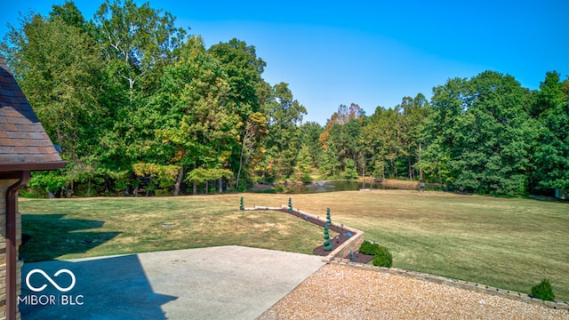 view of yard with a patio