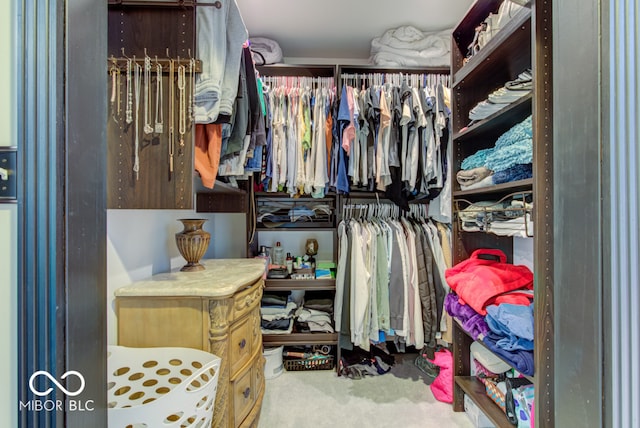 walk in closet featuring carpet floors