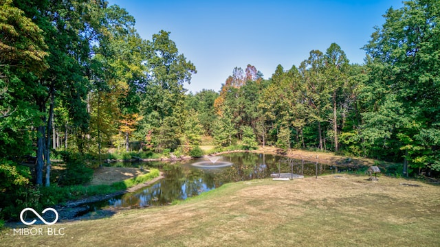 view of water feature