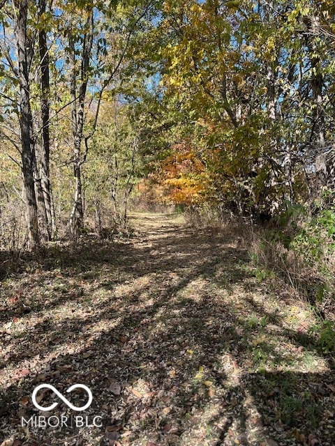 view of local wilderness