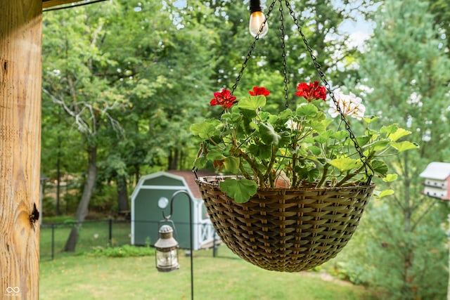 view of yard featuring a storage shed