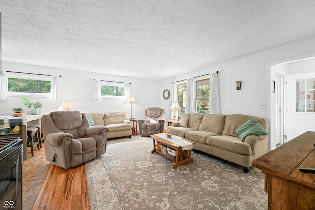 living room featuring a textured ceiling, plenty of natural light, and hardwood / wood-style floors