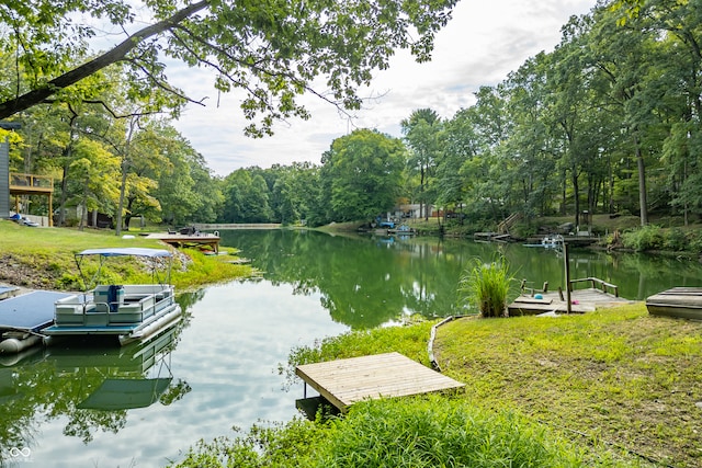 dock area with a water view