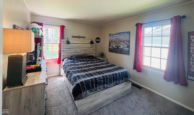 bedroom with carpet floors